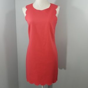 J. Crew Dress